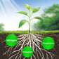 🎁 Hot Sale 70% OFF 🔥All Purpose Concentrated Liquid Fertilizer