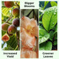 🎁 Hot Sale 70% OFF 🔥All Purpose Concentrated Liquid Fertilizer