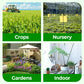 🎁 Hot Sale 70% OFF 🔥All Purpose Concentrated Liquid Fertilizer