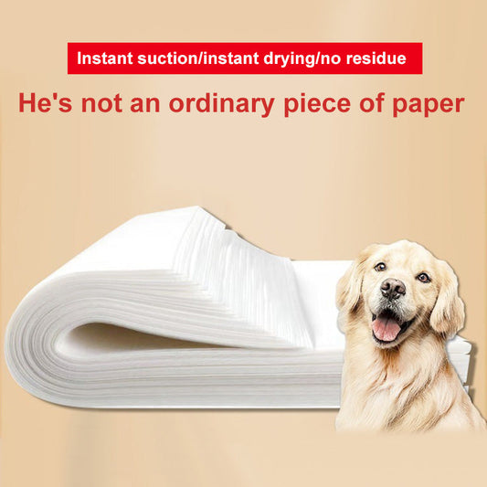 🎁Limited time 49% OFF⏳Dog Urine Absorbent Paper
